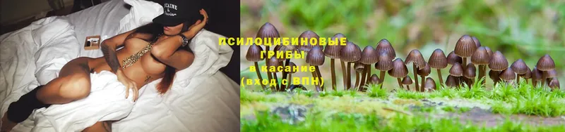 Галлюциногенные грибы Magic Shrooms  Сыктывкар 